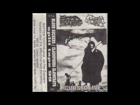 Blood Suckers & Cladophora Glomerata – Cursed Live [FULL ALBUM]