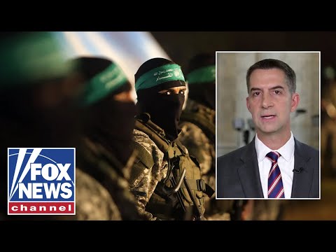 Hamas is relying on an international chorus to do its dirty work: Tom Cotton