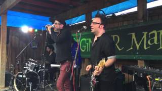 Mercury Rev performing Opus 40