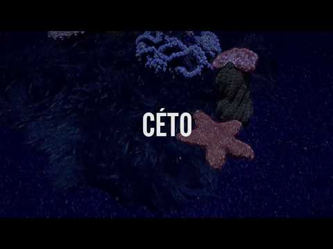 Céto : teaser 