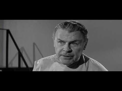 FILM OF THE DAY: Curse of the Fly (1965)