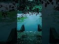 Aararum Kaanathe Malayalam Whatsapp Status Chandrolsavam Vidyasagar Lalettan Chandrolsavam Song