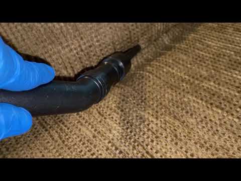 Visitor Brings Bed Bugs to Apartment Complex in Ocean Township, NJ