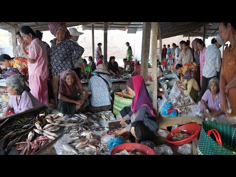Morning Food Market @Countryside - Plenty Lake Fish, River Fish, Vegetable, Pork & More in PrekTatun