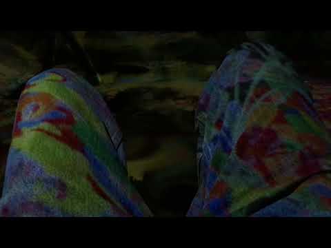 Room A - teamLab : au-delà des limites