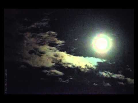 the same moon | Phil Collins