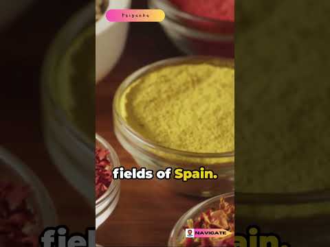 Spice Up Your Culinary Adventures II Exploring the World of Flavor