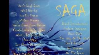 Saga Live Scandinavium Gothenburg 1988 (From a bootleg CD)