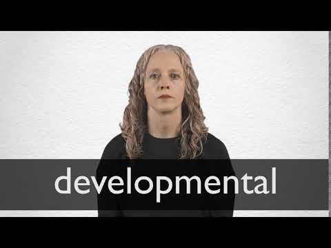 Glosario de ingles - VOCABULARY Developmental delay: when a