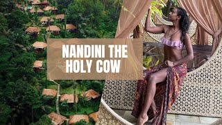 Nandini Jungle resort. You must stay here when you are in Bali😱❤️