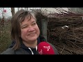 Nieuwe lading bomen  struiken en planten voor Oosterwold