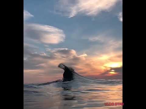 FOR THE LOVE OF THE SEA🌊