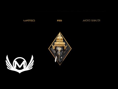 FED ❌ @MATTEO... ❌@AndreiBanuta. - Sa Cante Lautari | Audio