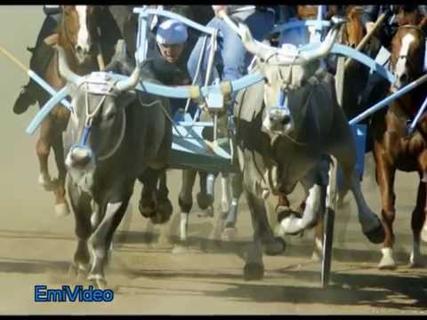 GIOVANI 2013: forza ragazzi..