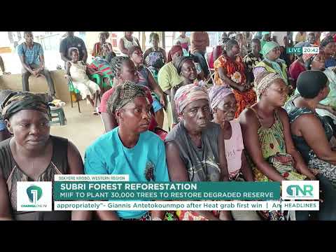 MIIF, Forestry Commission Launch 5-Year Reforestation Project in Western Region