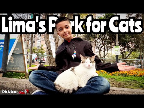 Why Kennedy Park in Lima, Peru is the Best Free Activity for Kids! #Travel