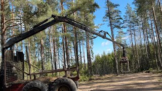 Hemek Ciceron 2 Forwarder kaufen - Bild 4 | Agroline DE Hemek Ciceron 2 Forwarder | Bild 4 - Agroline