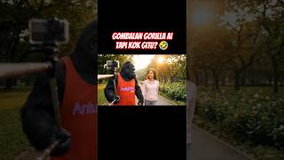 Download lagu Gorilla belajar Gombal? kok lucu? | Video komedi absurd AI veo 3 mp3