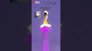 Download lagu bisa gak?🤔🗿#catmemes #funny #vidio #shorts #trend #youtube #viral #lawak #catlove mp3