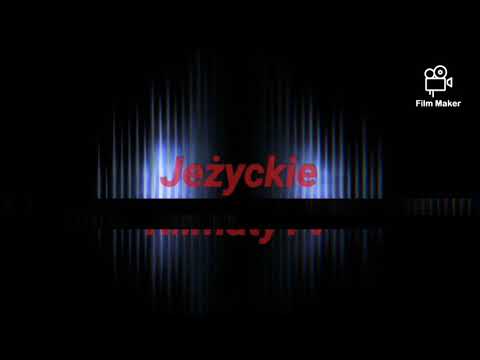 Denis x Kuba - CHAMPION