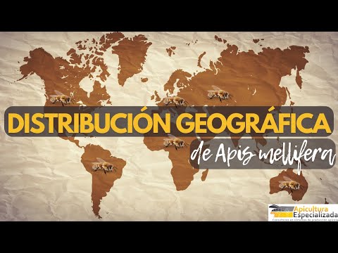 VIDEO 3 BASIC COURSE on Beekeeping - TAXONOMY AND GEOGRAPHICAL DISTRIBUTION OF Apis mellifera