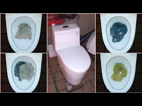 1st YouTube video about are woodbridge toilets any good