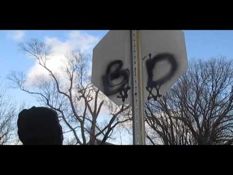 YoungFoolie feat Truu & MitchDaPit - Foolie style