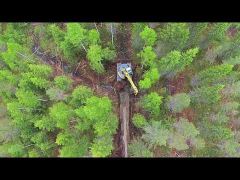 Havaintometsa Oulainen