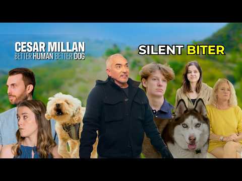 Este caniche miniatura es como Jekyll y Hyde | Mejor humano, mejor perro | Temporada 2, episodio 10