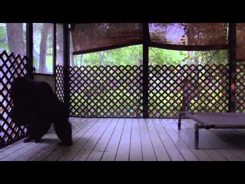 trailer