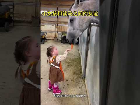 小女孩和骏马之间的友谊