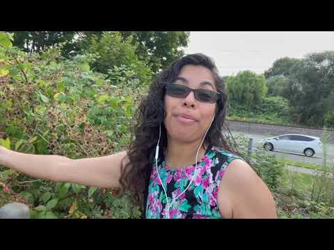 Foraging Wild Berries. What is this blue berry? Will I die if I eat it?