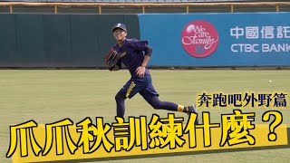 [討論] 爪秋訓外野篇