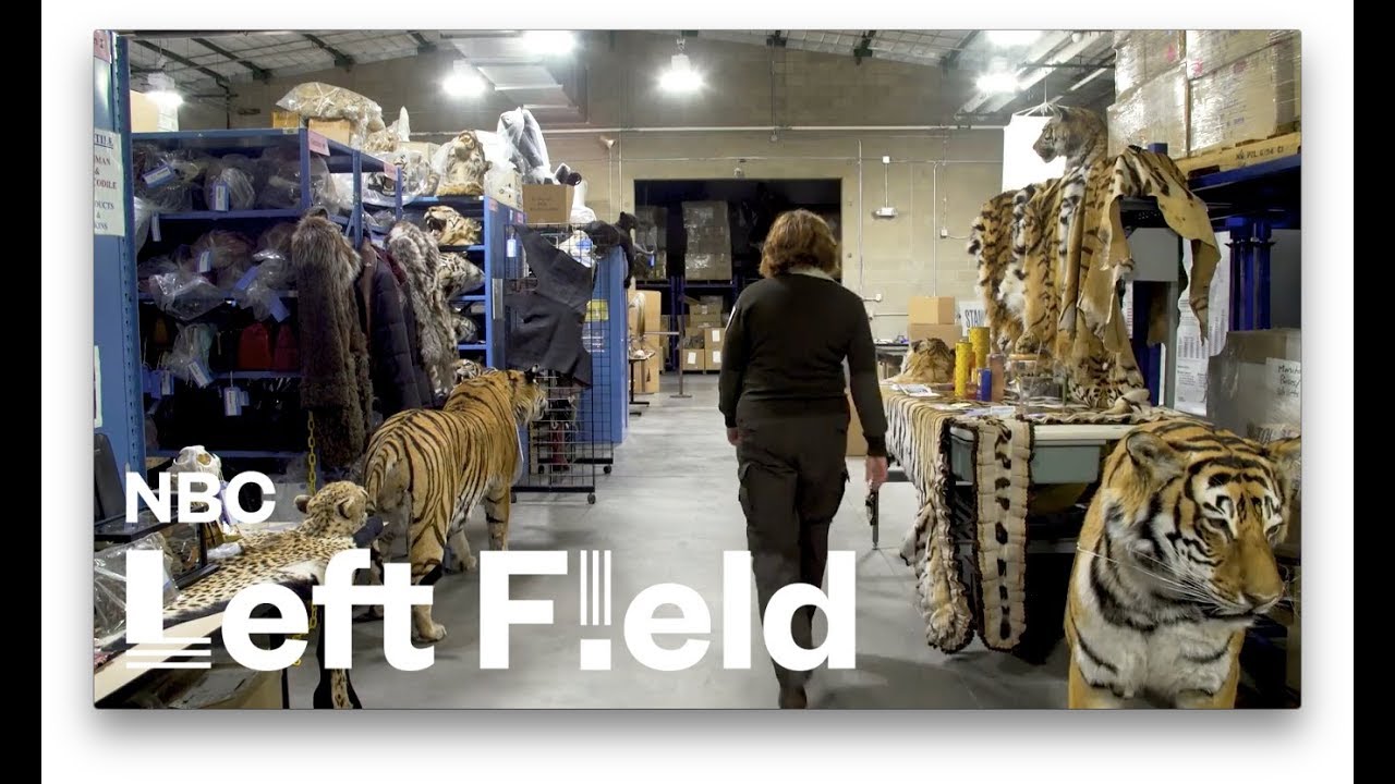 The Government's Black Market Animal Warehouse: NBC Left Field