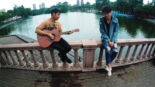 솔루션스(THE SOLUTIONS) - Love Again (Unplugged Live in Mexico)