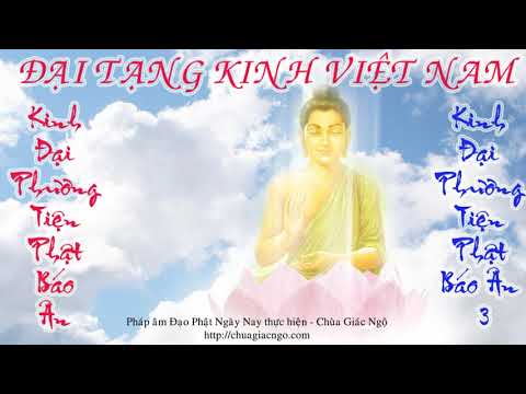 Kinh Đại Thừa - Kinh Đại Phương Tiện Phật Báo Ân 3