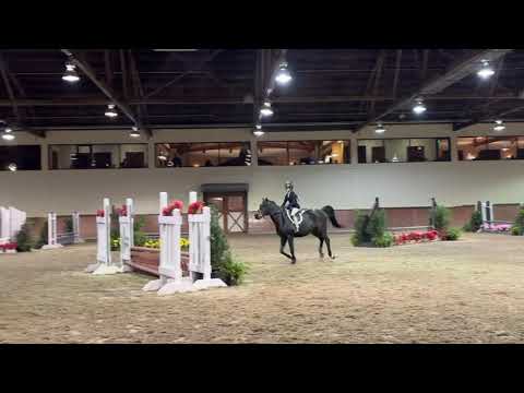 Lancelot K “Lance” video 1