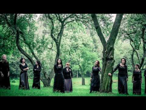 Tiburtina ensemble / Barbora Kabátková - Conductus Deus misertus hominis