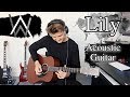 Alan Walker - Lily (Acoustic Guitar Cover)