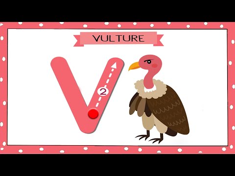 Words from letter v - words from alphabets - kids vocabulary words - how to write v