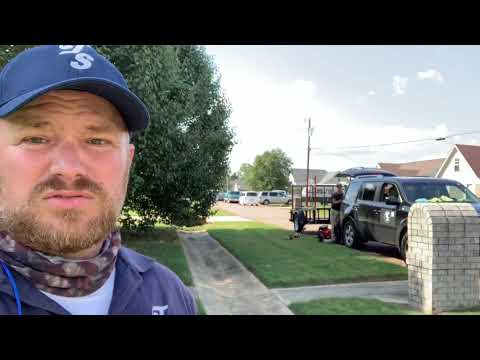 Raising the Canopy - Tree Trimming