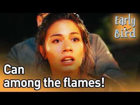 Can Among The Flames! - Early Bird (English Subtitles) | Erkenci Kus
