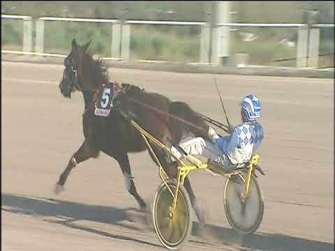 Trotto 26/11/2019 - 2ª corsa