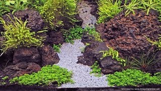 Choosing Aquarium Substrate: Using Dirt in Planted Aquariums