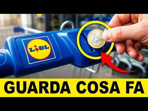 Quello Che Gli Esperti Sanno Su Lidl E I Principianti NO!