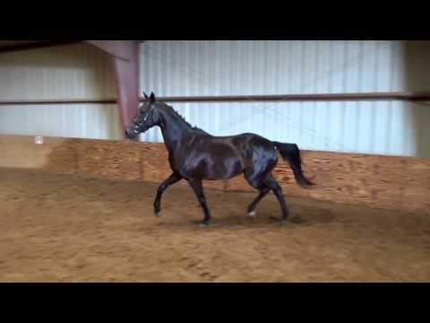 Dekadence  by Dream Along