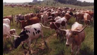 Marty Robbins Sings 'Whoopee Ti Yi Yo.'