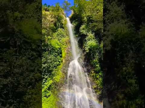 Reel tagged #video