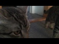 0 00 Second Video