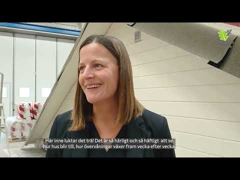 Tjuvtitt i Takvåningsfabriken i Åtvidaberg